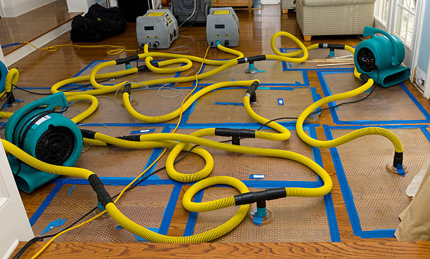 Professional Emergency Water Removal technician working in Geyserville, CA
